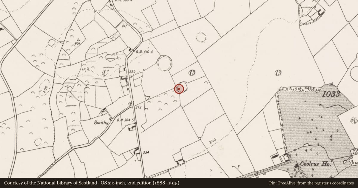 Ordnance Survey six-inch map, 2nd edition (1888–1915) covering the location of Ringfort - rath, Coolrus, County Limerick, with a pin at the register's coordinates