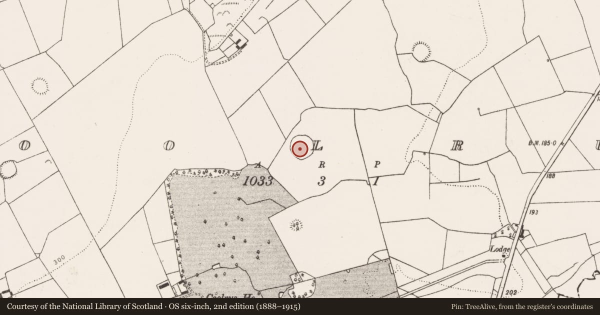 Ordnance Survey six-inch map, 2nd edition (1888–1915) covering the location of Ringfort - rath, Coolrus, County Limerick, with a pin at the register's coordinates
