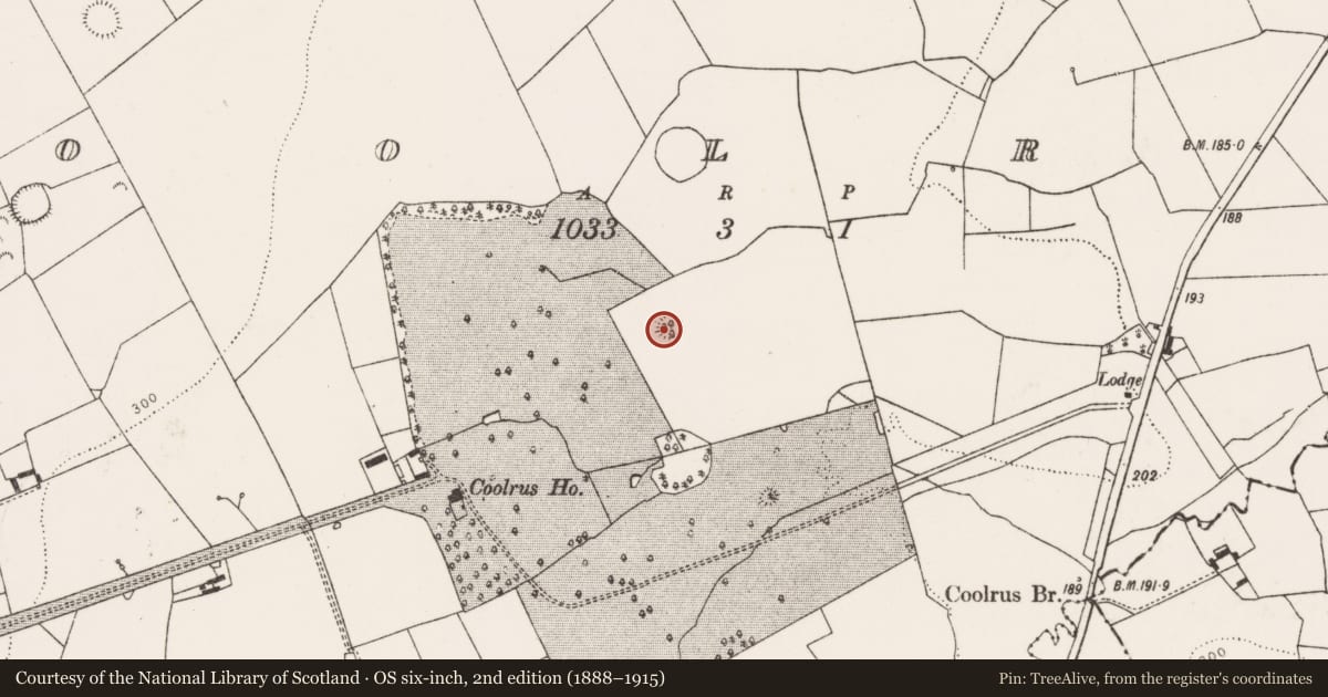 Ordnance Survey six-inch map, 2nd edition (1888–1915) covering the location of Ringfort - rath, Coolrus, County Limerick, with a pin at the register's coordinates