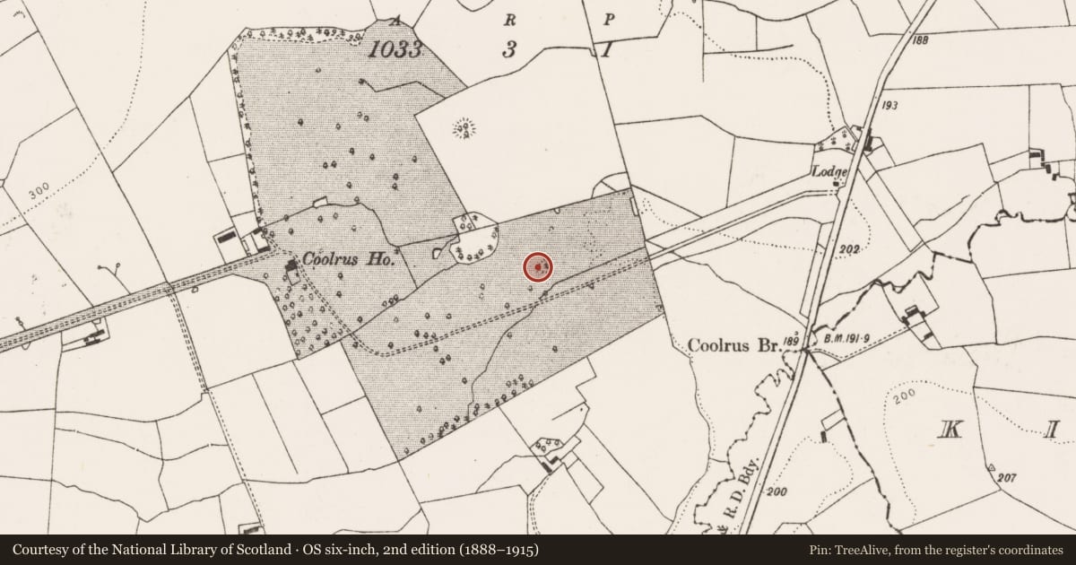 Ordnance Survey six-inch map, 2nd edition (1888–1915) covering the location of Ringfort - rath, Coolrus, County Limerick, with a pin at the register's coordinates