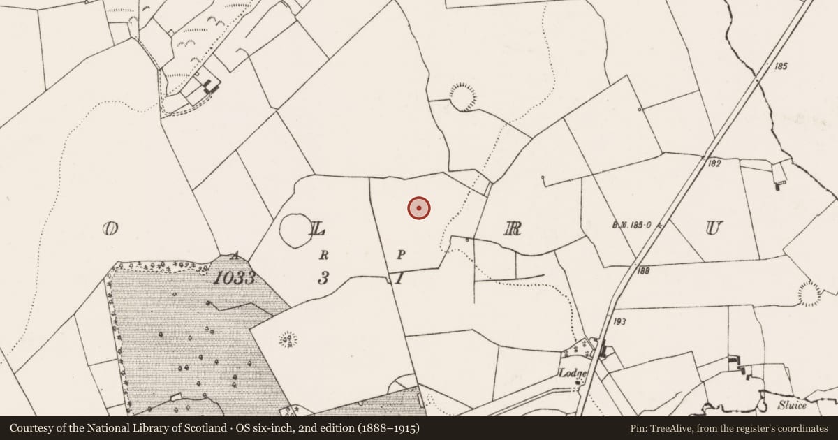 Ordnance Survey six-inch map, 2nd edition (1888–1915) covering the location of Ringfort - rath, Coolrus, County Limerick, with a pin at the register's coordinates
