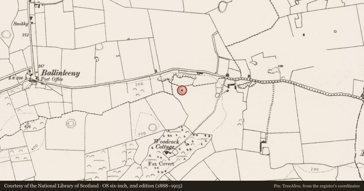 Ordnance Survey six-inch map, 2nd edition (1888–1915) covering the location of Ringfort - rath, Coolrus, County Limerick, with a pin at the register's coordinates