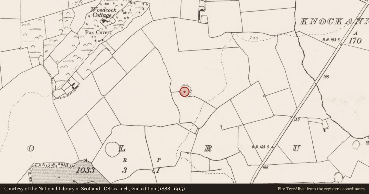 Ordnance Survey six-inch map, 2nd edition (1888–1915) covering the location of Ringfort - rath, Coolrus, County Limerick, with a pin at the register's coordinates