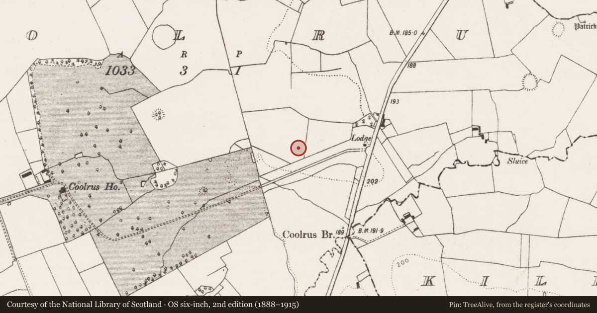 Ordnance Survey six-inch map, 2nd edition (1888–1915) covering the location of Ringfort - rath, Coolrus, County Limerick, with a pin at the register's coordinates