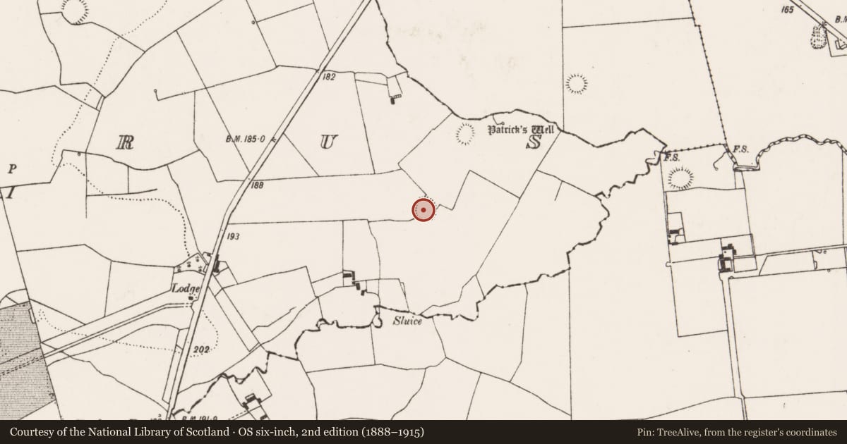 Ordnance Survey six-inch map, 2nd edition (1888–1915) covering the location of Ringfort - rath, Coolrus, County Limerick, with a pin at the register's coordinates