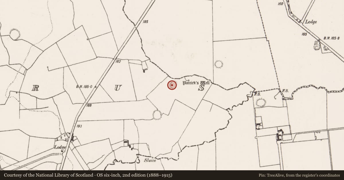 Ordnance Survey six-inch map, 2nd edition (1888–1915) covering the location of Ringfort - rath, Coolrus, County Limerick, with a pin at the register's coordinates