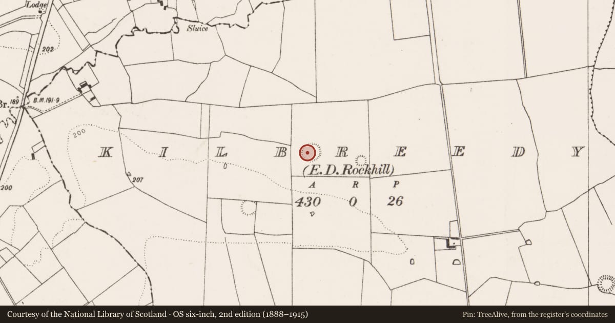 Ordnance Survey six-inch map, 2nd edition (1888–1915) covering the location of Ringfort - rath, Kilbreedy, County Limerick, with a pin at the register's coordinates