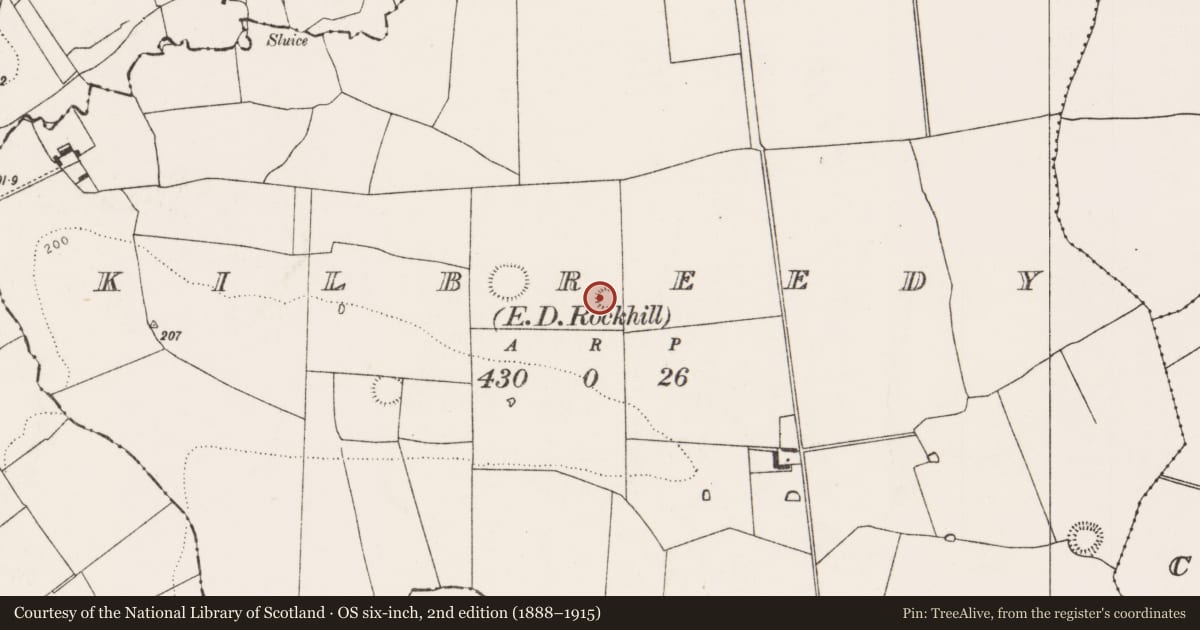 Ordnance Survey six-inch map, 2nd edition (1888–1915) covering the location of Ringfort - rath, Kilbreedy, County Limerick, with a pin at the register's coordinates
