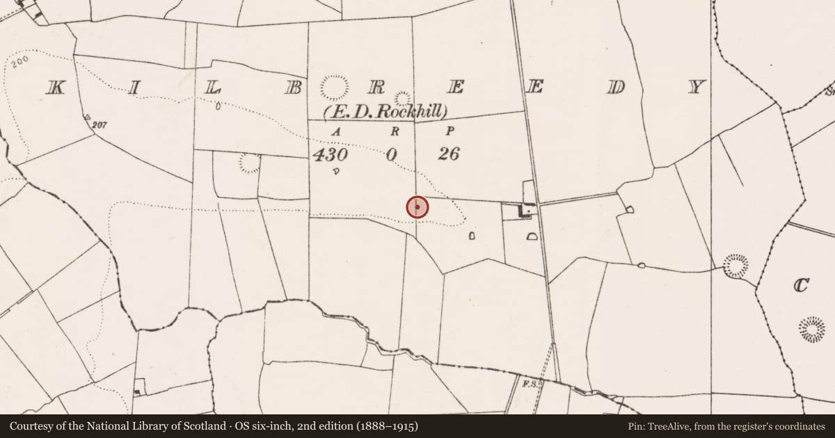 Ordnance Survey six-inch map, 2nd edition (1888–1915) covering the location of Children's burial ground, Kilbreedy, County Limerick, with a pin at the register's coordinates