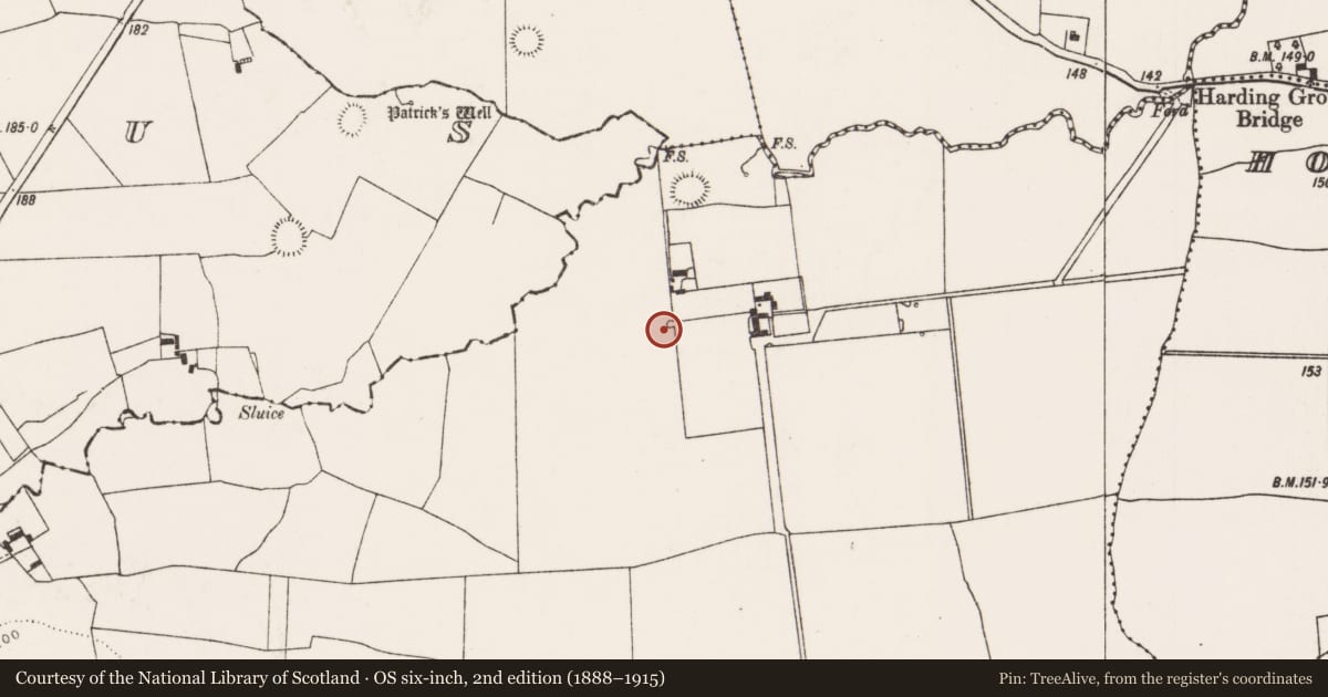 Ordnance Survey six-inch map, 2nd edition (1888–1915) covering the location of Earthwork, Kilbreedy, County Limerick, with a pin at the register's coordinates