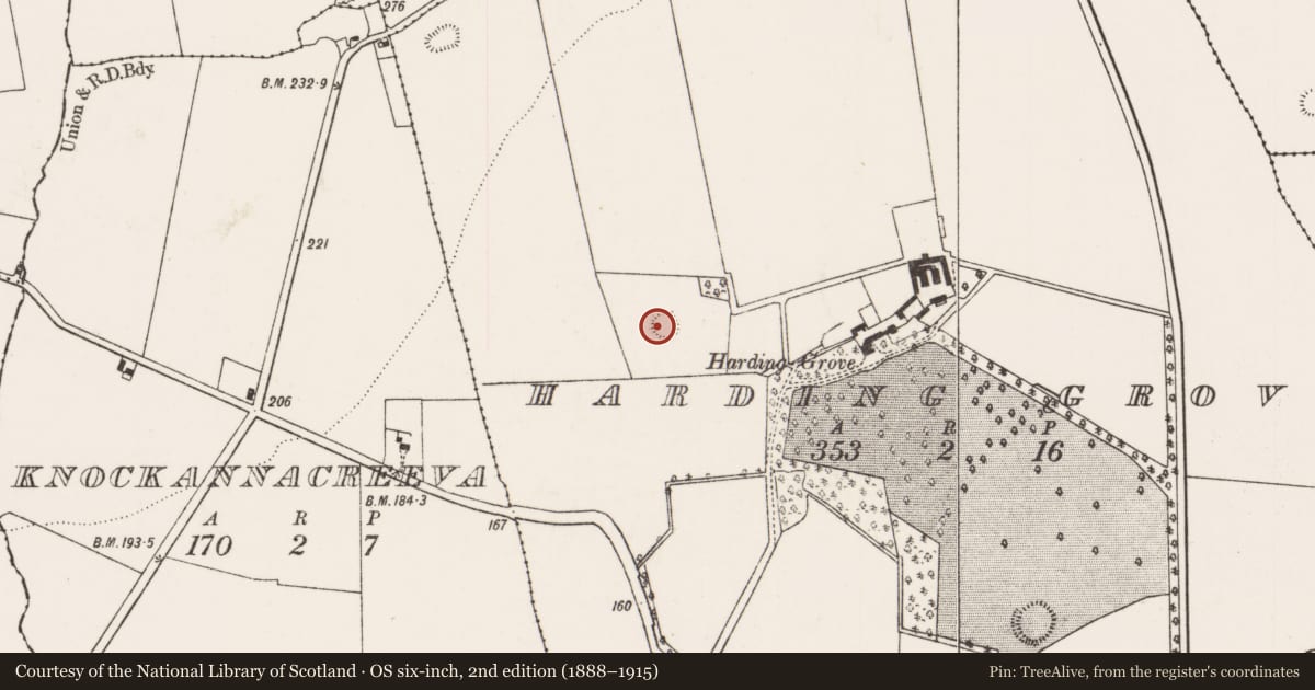 Ordnance Survey six-inch map, 2nd edition (1888–1915) covering the location of Enclosure, Harding Grove, County Limerick, with a pin at the register's coordinates