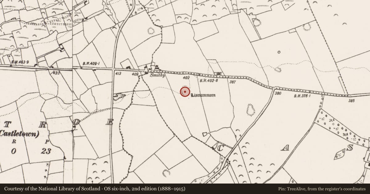 Ordnance Survey six-inch map, 2nd edition (1888–1915) covering the location of Ringfort - rath, Castletown, County Limerick, with a pin at the register's coordinates