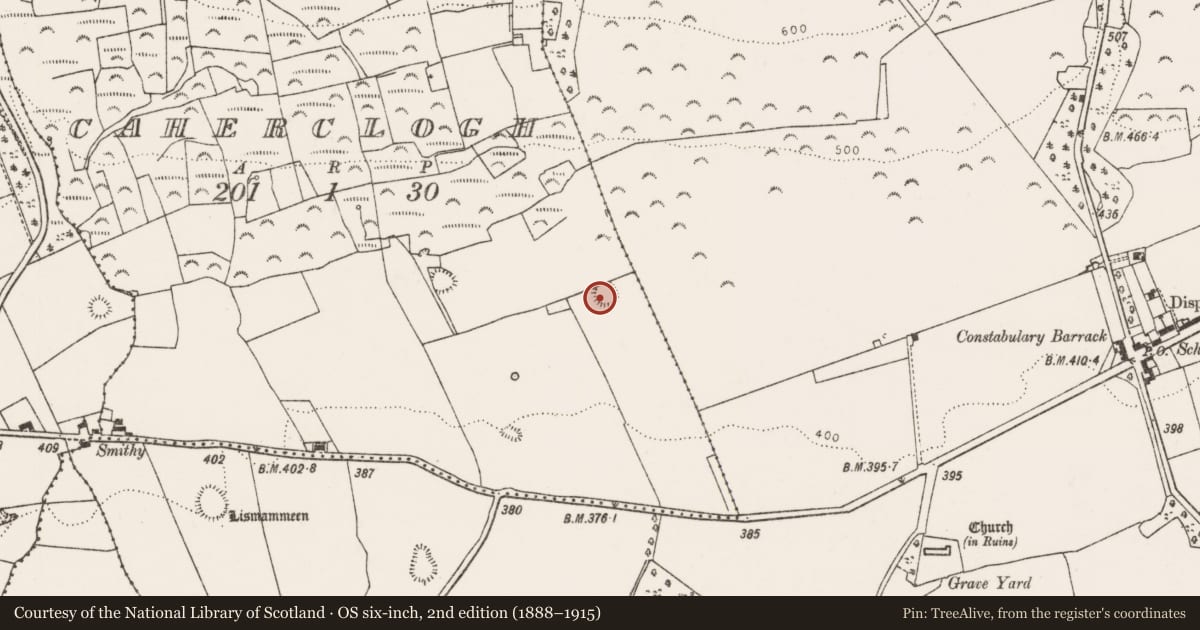 Ordnance Survey six-inch map, 2nd edition (1888–1915) covering the location of Ringfort - rath, Caherclogh, County Limerick, with a pin at the register's coordinates