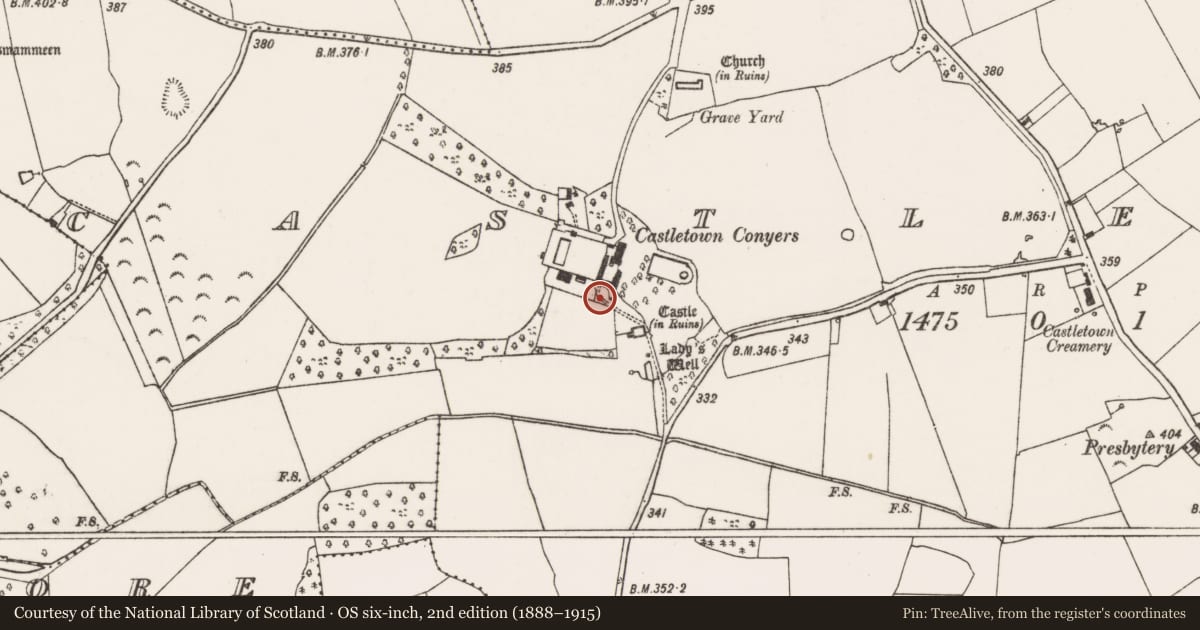 Ordnance Survey six-inch map, 2nd edition (1888–1915) covering the location of Castle - motte, Castletown, County Limerick, with a pin at the register's coordinates