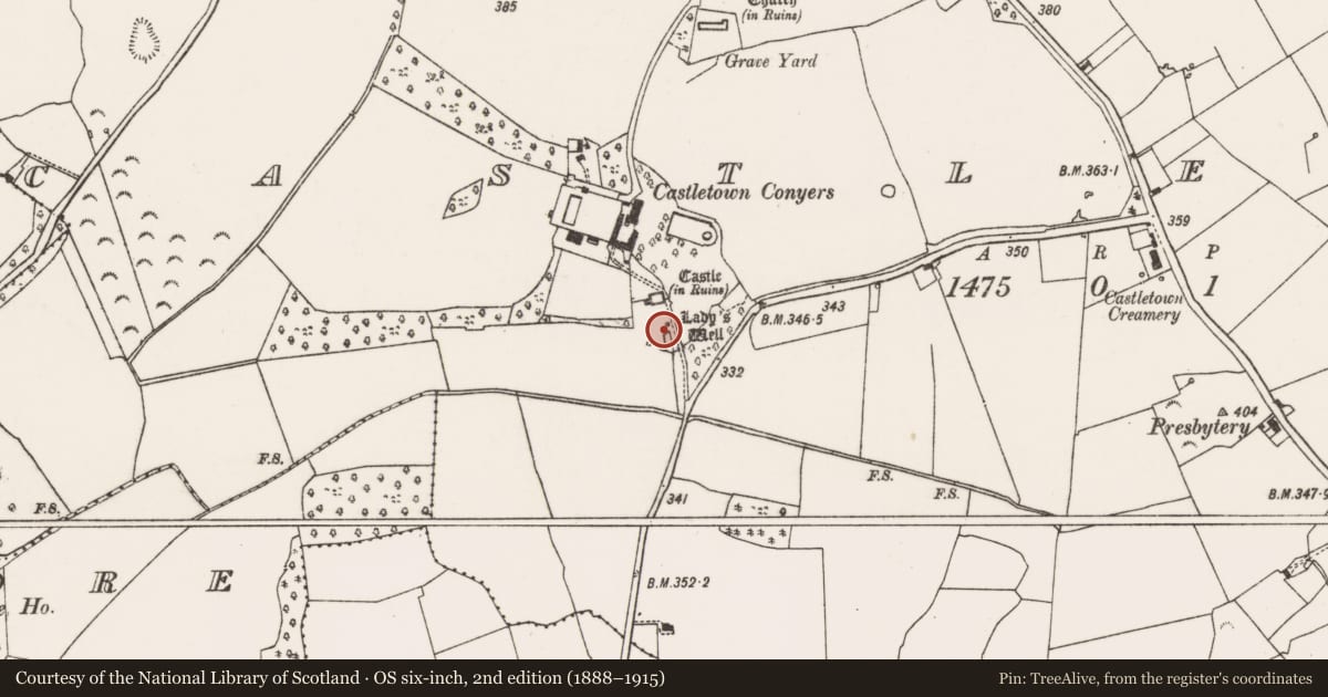 Ordnance Survey six-inch map, 2nd edition (1888–1915) covering the location of Ritual site - holy well, Castletown, County Limerick, with a pin at the register's coordinates