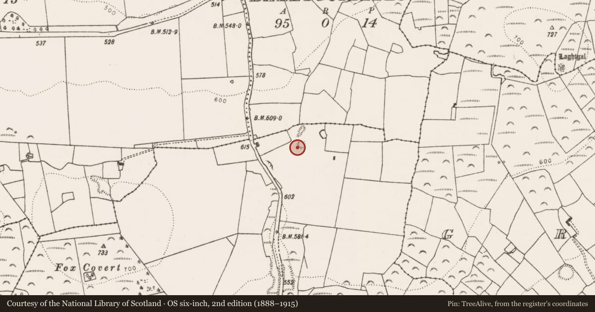 Ordnance Survey six-inch map, 2nd edition (1888–1915) covering the location of Enclosure, Castletown, County Limerick, with a pin at the register's coordinates
