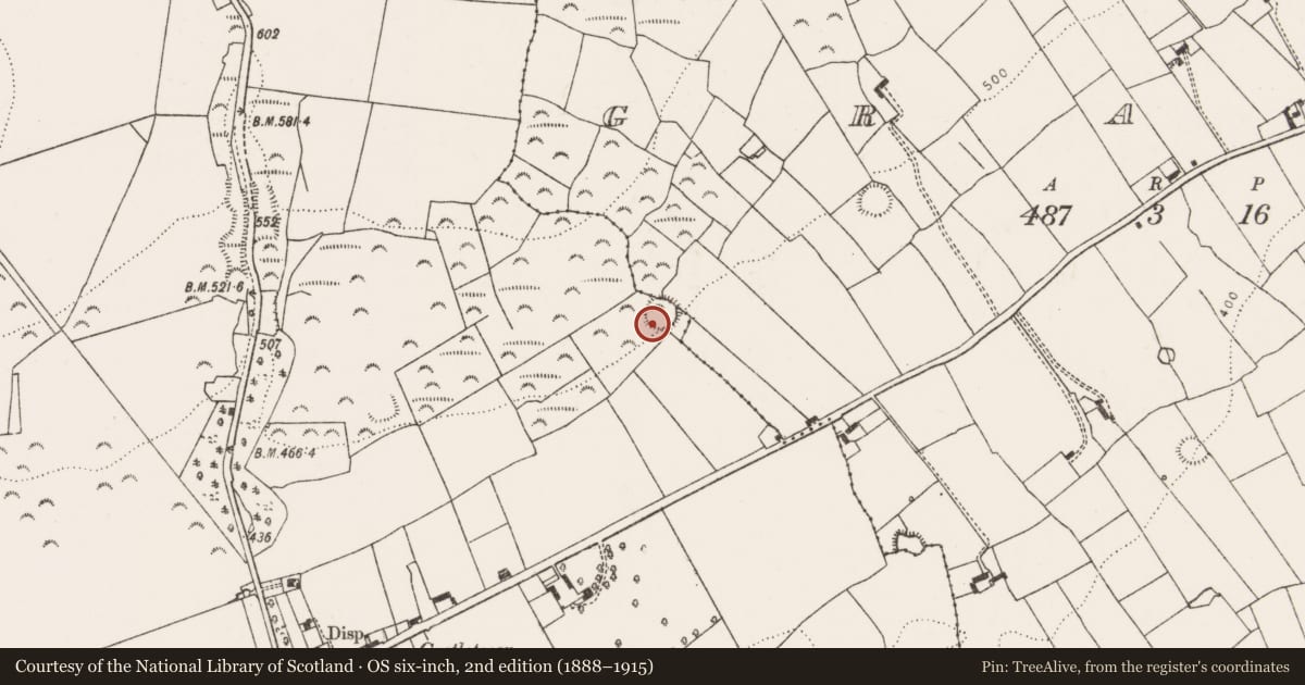 Ordnance Survey six-inch map, 2nd edition (1888–1915) covering the location of Ringfort - rath, Castletown, County Limerick, with a pin at the register's coordinates