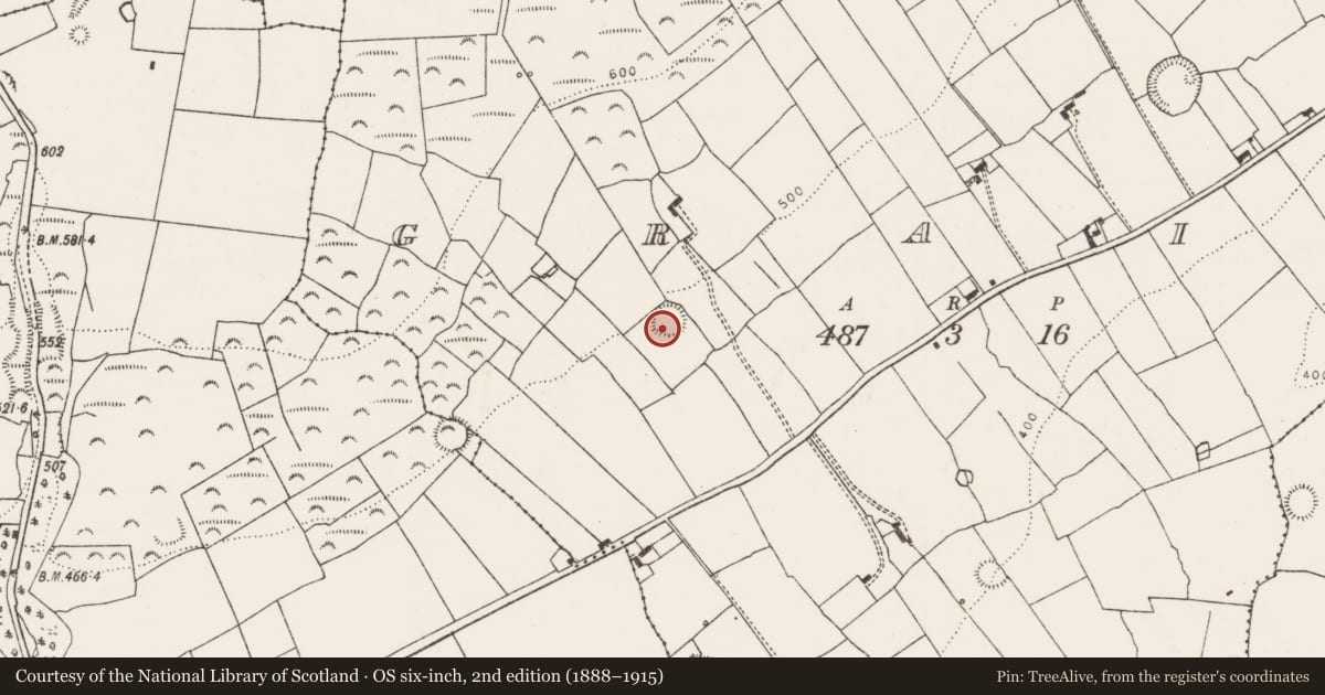 Ordnance Survey six-inch map, 2nd edition (1888–1915) covering the location of Ringfort - rath, Graig, County Limerick, with a pin at the register's coordinates