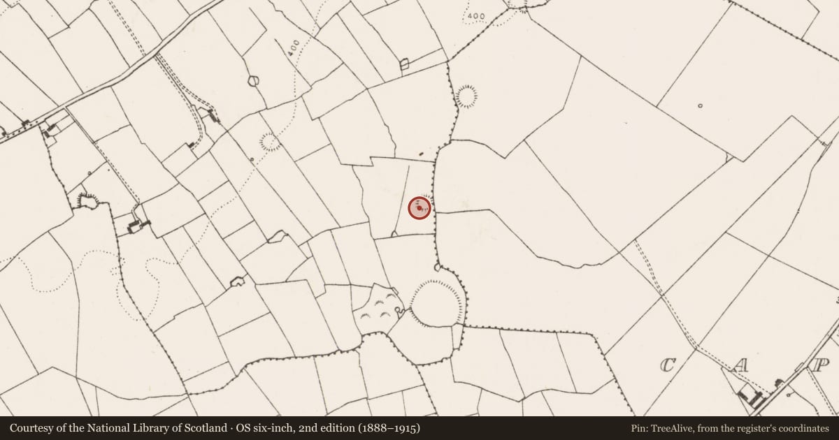 Ordnance Survey six-inch map, 2nd edition (1888–1915) covering the location of Ringfort - rath, Graig, County Limerick, with a pin at the register's coordinates