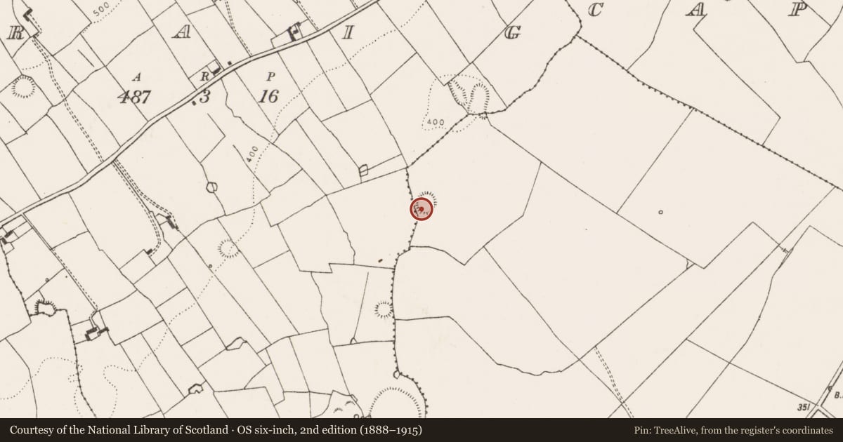 Ordnance Survey six-inch map, 2nd edition (1888–1915) covering the location of Ringfort - rath, Cappananty, County Limerick, with a pin at the register's coordinates