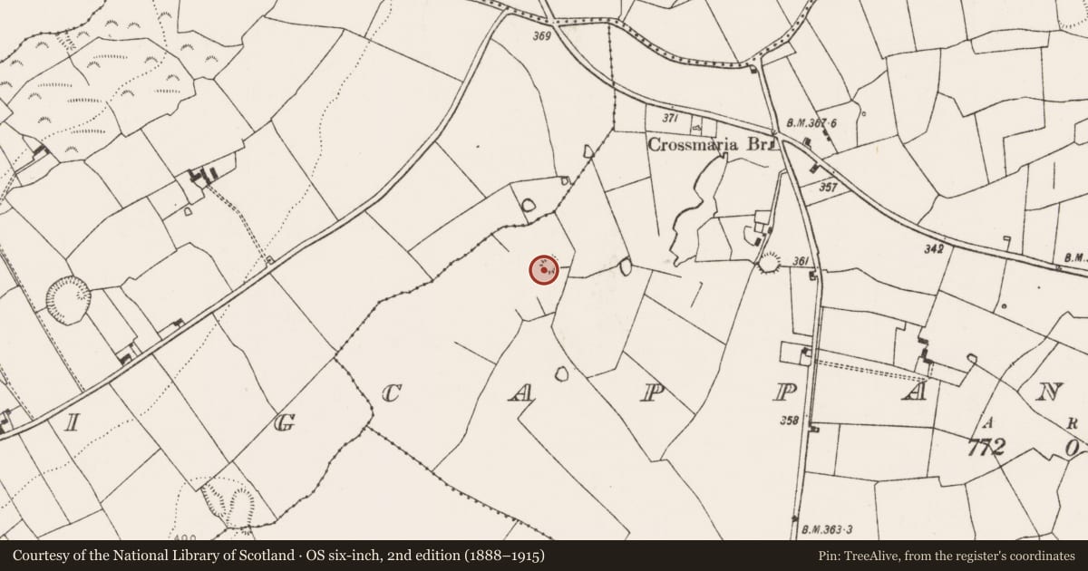 Ordnance Survey six-inch map, 2nd edition (1888–1915) covering the location of Enclosure, Cappanihane, County Limerick, with a pin at the register's coordinates