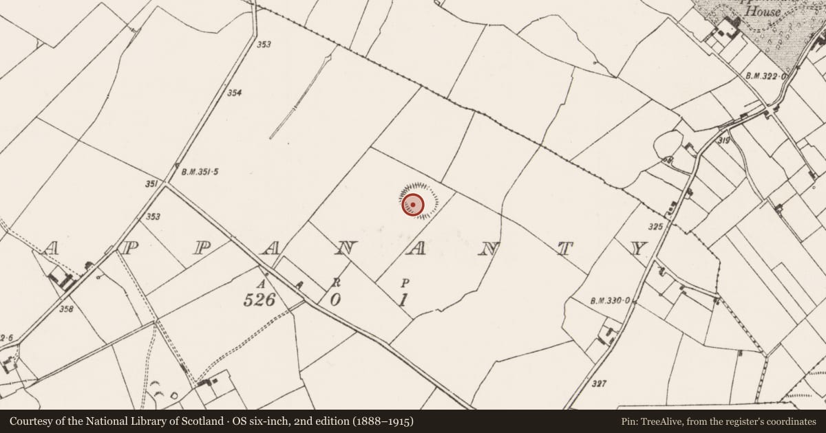 Ordnance Survey six-inch map, 2nd edition (1888–1915) covering the location of Ringfort - rath, Cappananty, County Limerick, with a pin at the register's coordinates