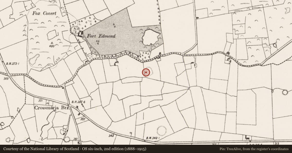 Ordnance Survey six-inch map, 2nd edition (1888–1915) covering the location of Moated site, Cappanihane, County Limerick, with a pin at the register's coordinates