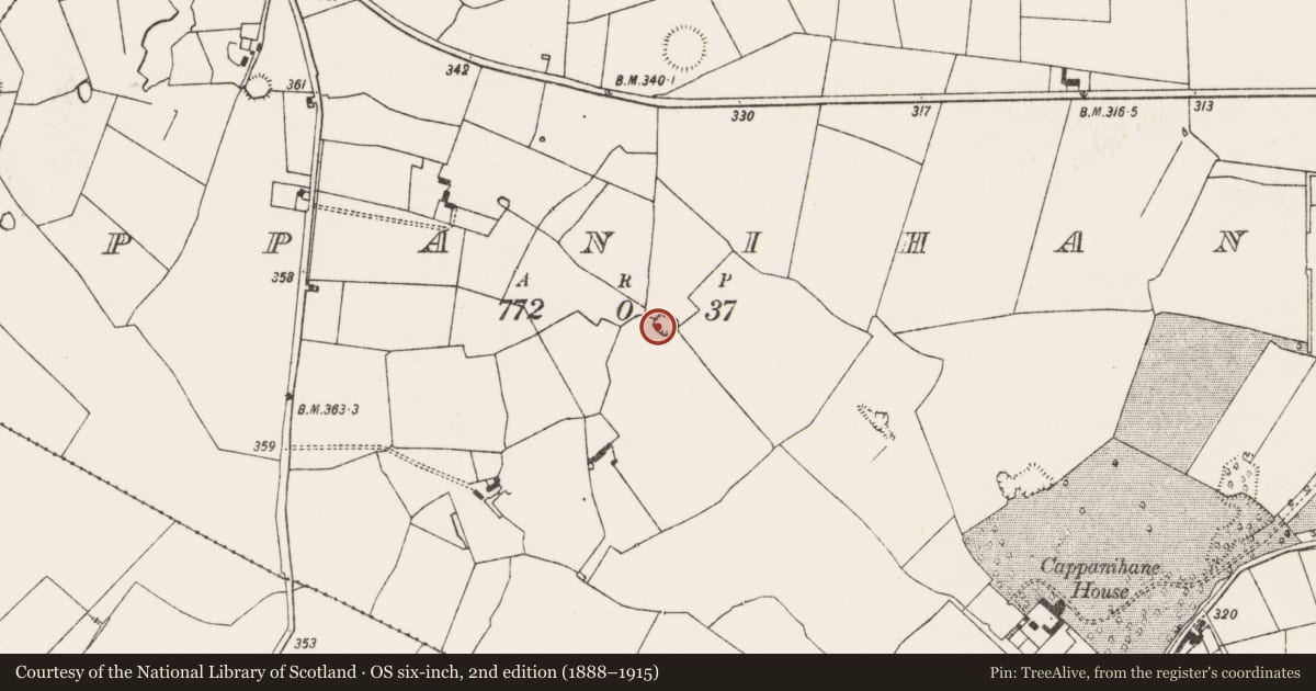 Ordnance Survey six-inch map, 2nd edition (1888–1915) covering the location of Ringfort - rath, Cappanihane, County Limerick, with a pin at the register's coordinates