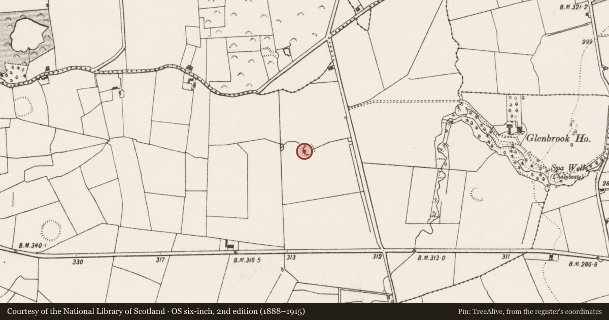 Ordnance Survey six-inch map, 2nd edition (1888–1915) covering the location of Ringfort - rath, Cappanihane, County Limerick, with a pin at the register's coordinates