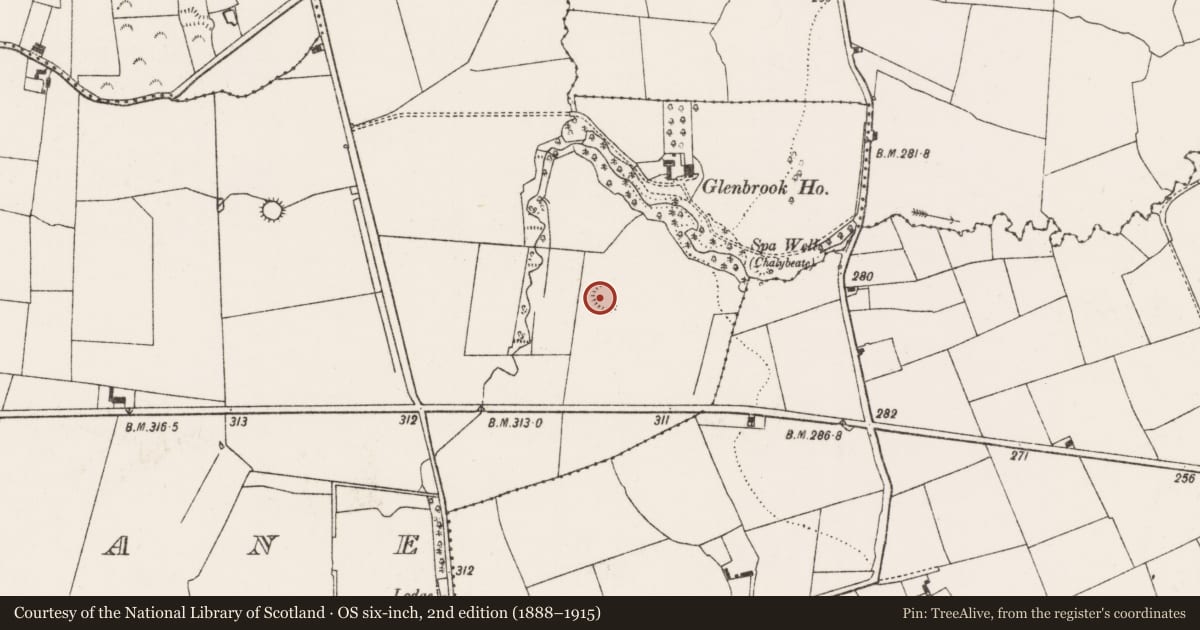 Ordnance Survey six-inch map, 2nd edition (1888–1915) covering the location of Ringfort - rath, Cappanihane, County Limerick, with a pin at the register's coordinates