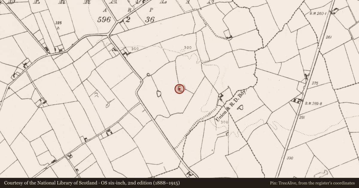 Ordnance Survey six-inch map, 2nd edition (1888–1915) covering the location of Ringfort - rath, Derraulin, County Limerick, with a pin at the register's coordinates