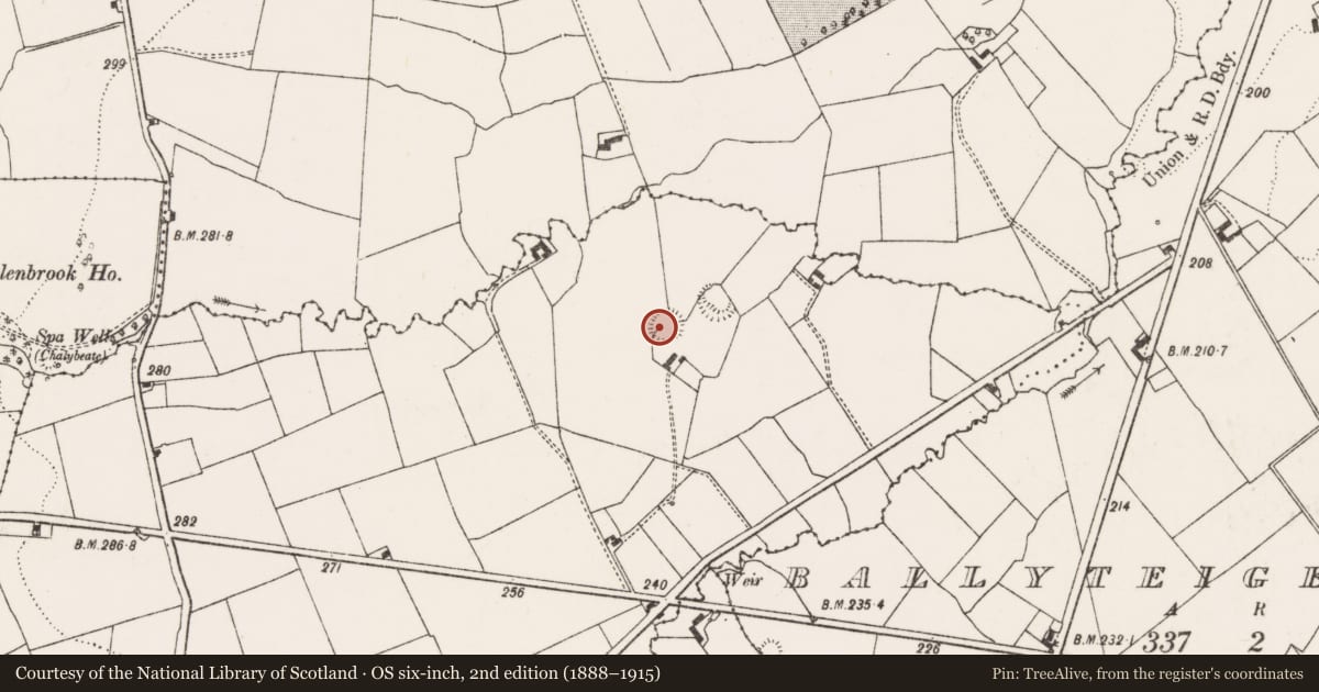 Ordnance Survey six-inch map, 2nd edition (1888–1915) covering the location of Ringfort - rath, Derraulin, County Limerick, with a pin at the register's coordinates