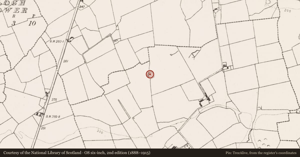 Ordnance Survey six-inch map, 2nd edition (1888–1915) covering the location of Enclosure, Ballyteige Upper, County Limerick, with a pin at the register's coordinates