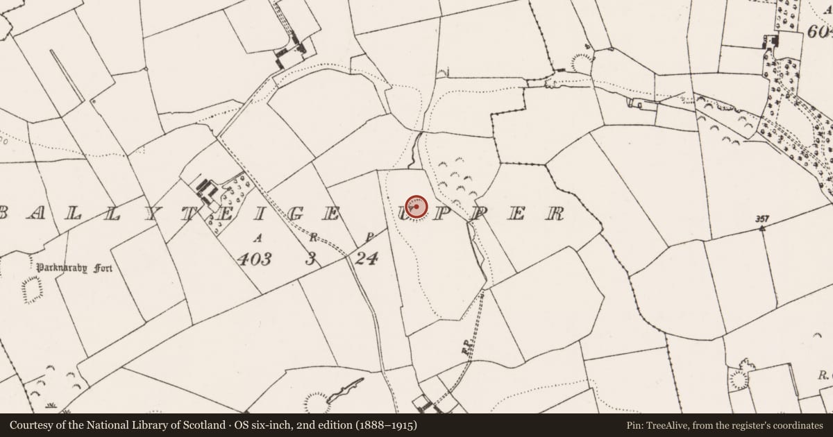 Ordnance Survey six-inch map, 2nd edition (1888–1915) covering the location of Ringfort - rath, Ballyteige Upper, County Limerick, with a pin at the register's coordinates
