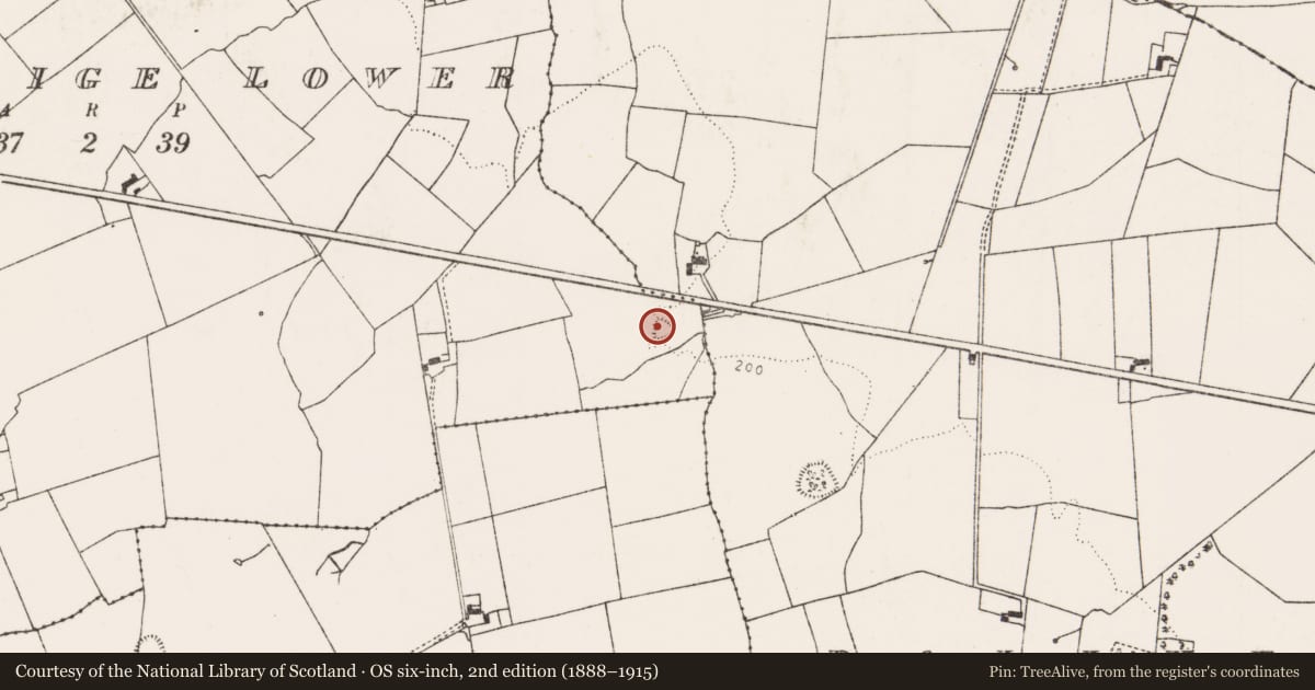 Ordnance Survey six-inch map, 2nd edition (1888–1915) covering the location of Ringfort - rath, Ballyteige Lower, County Limerick, with a pin at the register's coordinates