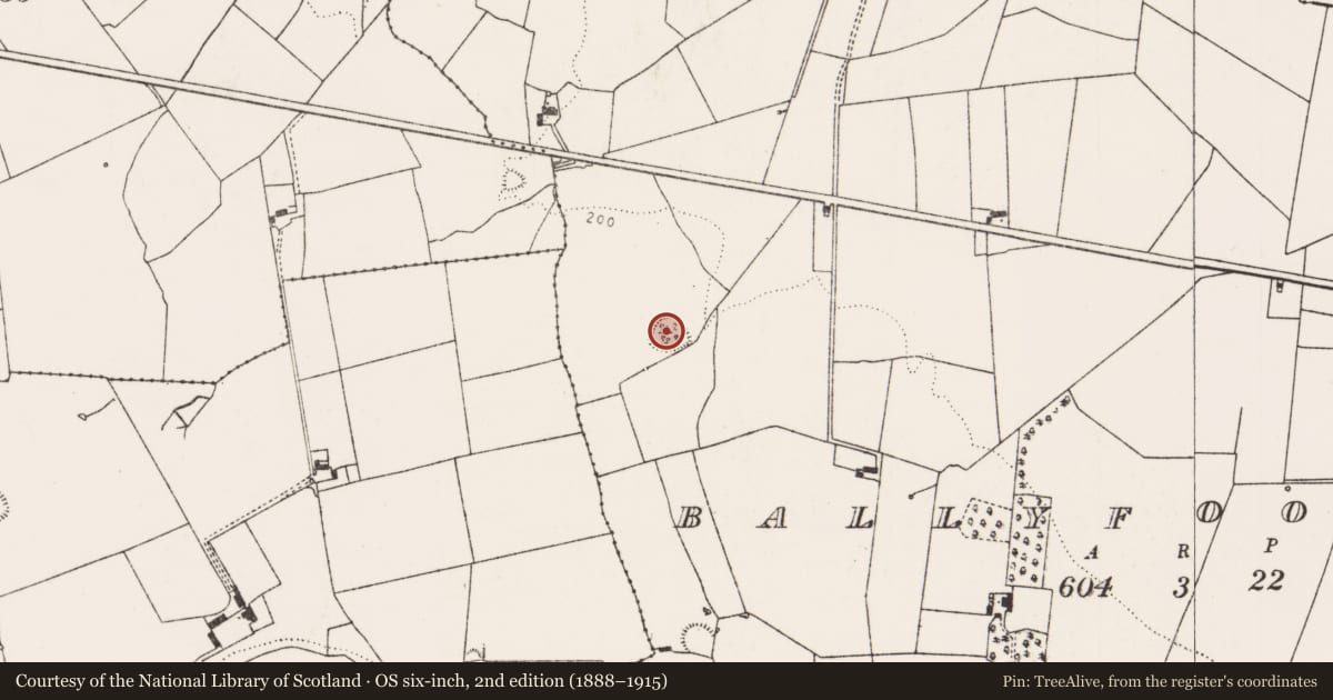 Ordnance Survey six-inch map, 2nd edition (1888–1915) covering the location of Ringfort - rath, Ballyfookeen, County Limerick, with a pin at the register's coordinates