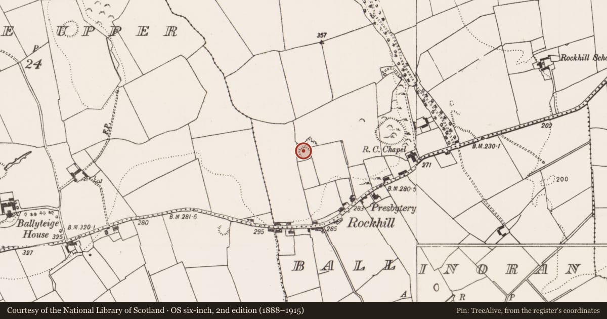 Ordnance Survey six-inch map, 2nd edition (1888–1915) covering the location of Ringfort - rath, Ballyfookeen, County Limerick, with a pin at the register's coordinates