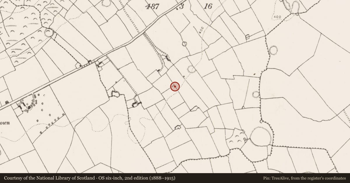 Ordnance Survey six-inch map, 2nd edition (1888–1915) covering the location of Font, Graig, County Limerick, with a pin at the register's coordinates