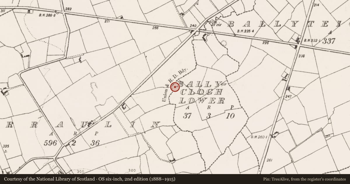 Ordnance Survey six-inch map, 2nd edition (1888–1915) covering the location of Fulacht fia, Ballyclogh Lower, County Limerick, with a pin at the register's coordinates
