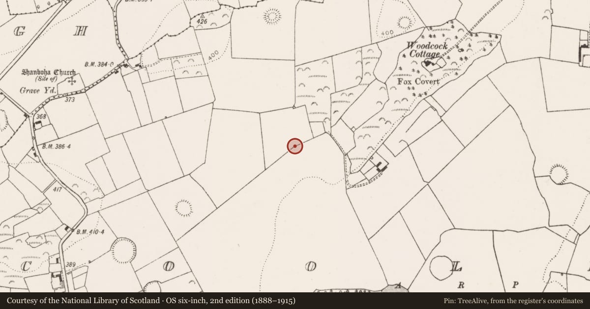 Ordnance Survey six-inch map, 2nd edition (1888–1915) covering the location of Bullaun stone, Coolrus, County Limerick, with a pin at the register's coordinates