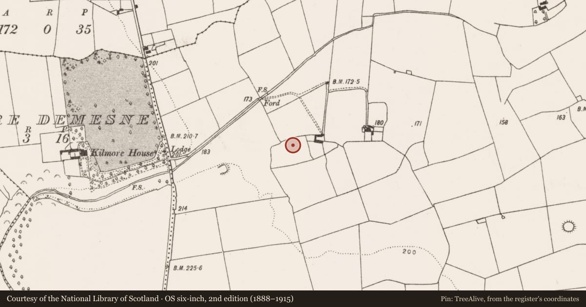 Ordnance Survey six-inch map, 2nd edition (1888–1915) covering the location of Ringfort - rath, Kilmore, County Limerick, with a pin at the register's coordinates