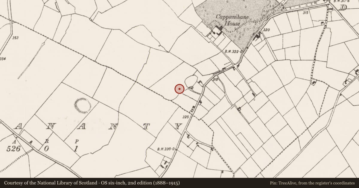 Ordnance Survey six-inch map, 2nd edition (1888–1915) covering the location of Enclosure, Cappanihane, County Limerick, with a pin at the register's coordinates