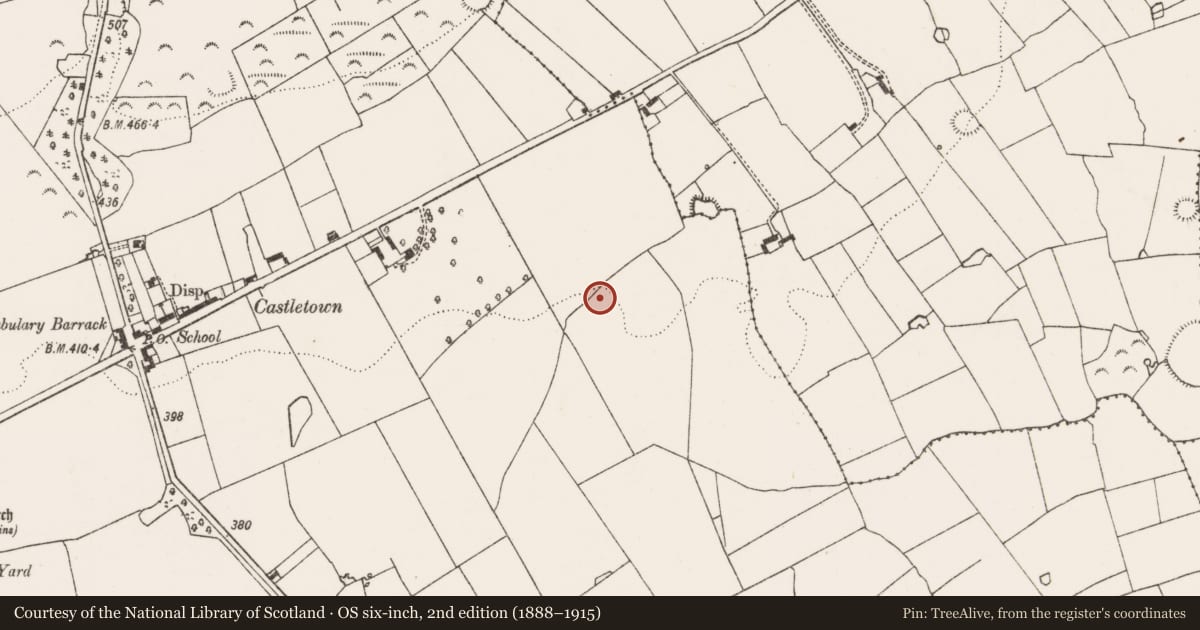 Ordnance Survey six-inch map, 2nd edition (1888–1915) covering the location of Standing stone, Castletown, County Limerick, with a pin at the register's coordinates
