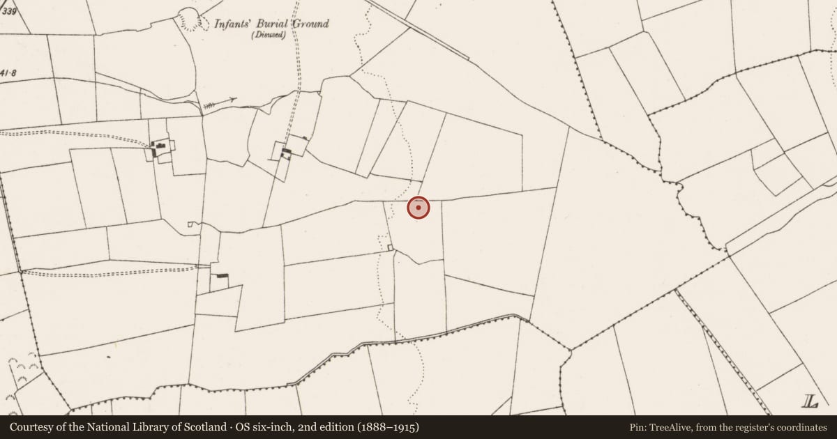 Ordnance Survey six-inch map, 2nd edition (1888–1915) covering the location of Enclosure, Ballygrennan, County Limerick, with a pin at the register's coordinates