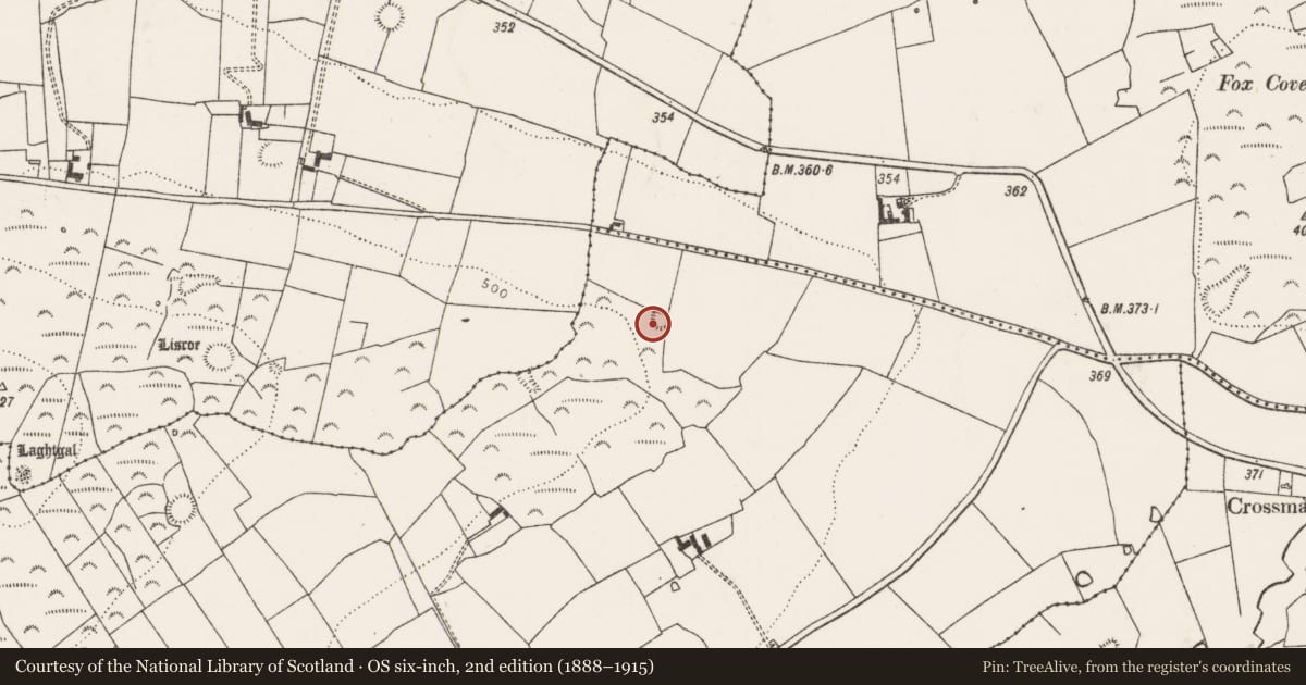 Ordnance Survey six-inch map, 2nd edition (1888–1915) covering the location of Earthwork, Graig, County Limerick, with a pin at the register's coordinates