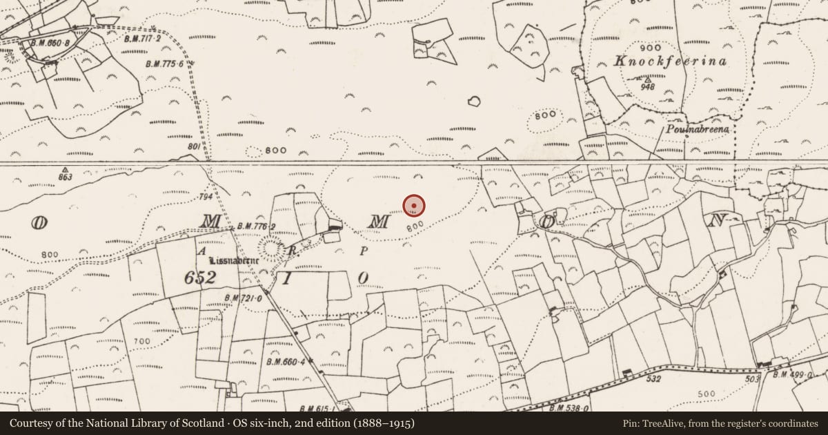 Ordnance Survey six-inch map, 2nd edition (1888–1915) covering the location of Barrow - ring-barrow, Common, County Limerick, with a pin at the register's coordinates