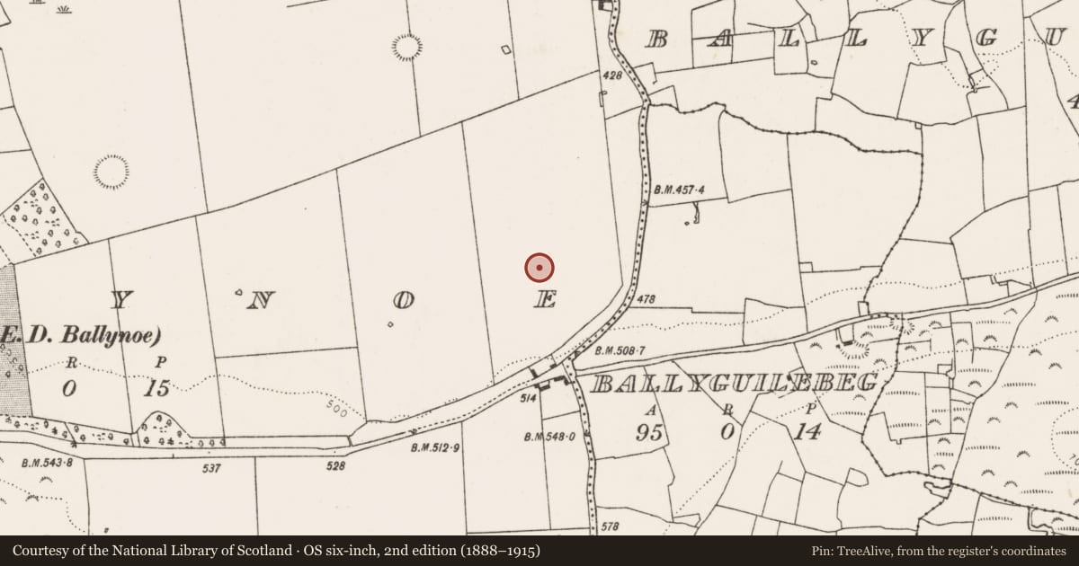 Ordnance Survey six-inch map, 2nd edition (1888–1915) covering the location of Earthwork, Ballynoe, County Limerick, with a pin at the register's coordinates