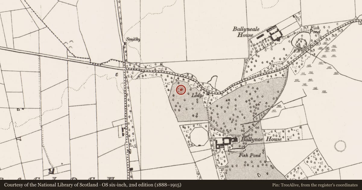 Ordnance Survey six-inch map, 2nd edition (1888–1915) covering the location of Enclosure, Ballynoe, County Limerick, with a pin at the register's coordinates