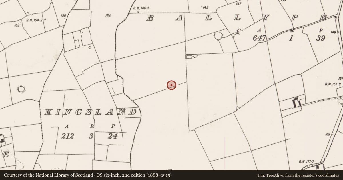 Ordnance Survey six-inch map, 2nd edition (1888–1915) covering the location of Moated site, Ballyphilip, County Limerick, with a pin at the register's coordinates