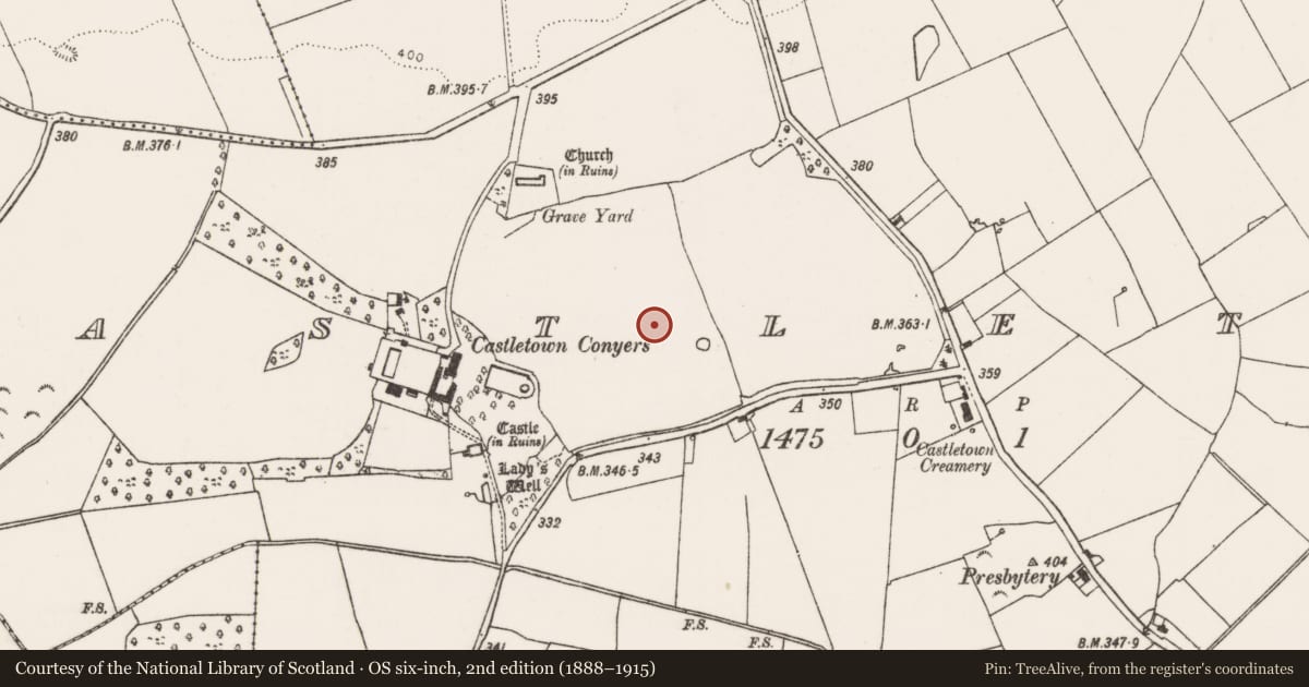 Ordnance Survey six-inch map, 2nd edition (1888–1915) covering the location of Enclosure, Castletown, County Limerick, with a pin at the register's coordinates
